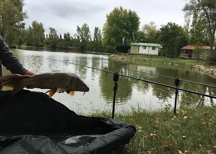 מלון Le Plan D'eau Saint Charles *