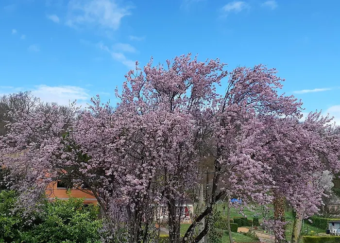 Le Plan D'eau Saint Charles מלון *