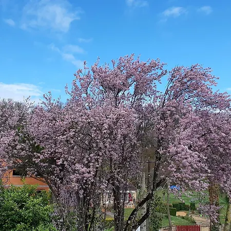 Le Plan D'eau Saint Charles Hotel *